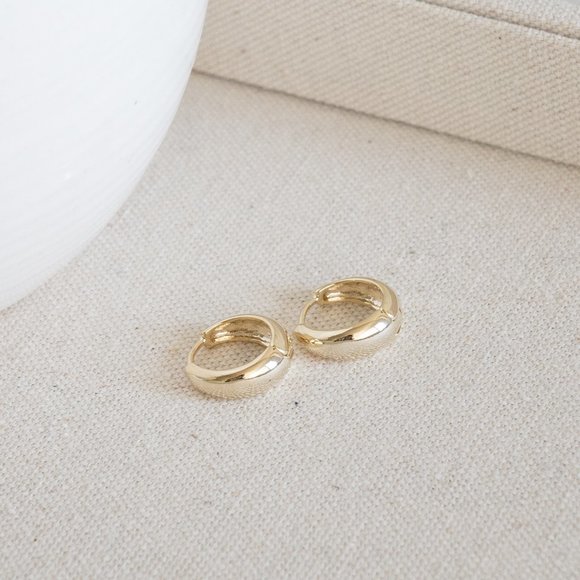 AALLYN.COM Jewelry - *NEW* 14K Gold Plated Hoop Earrings
